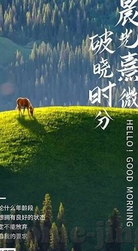 果冻传媒 下载-探索果冻传媒，数字娱乐的新风尚与下载体验